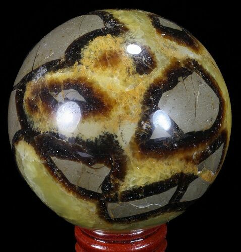 Polished Septarian Sphere - Madagascar #67852